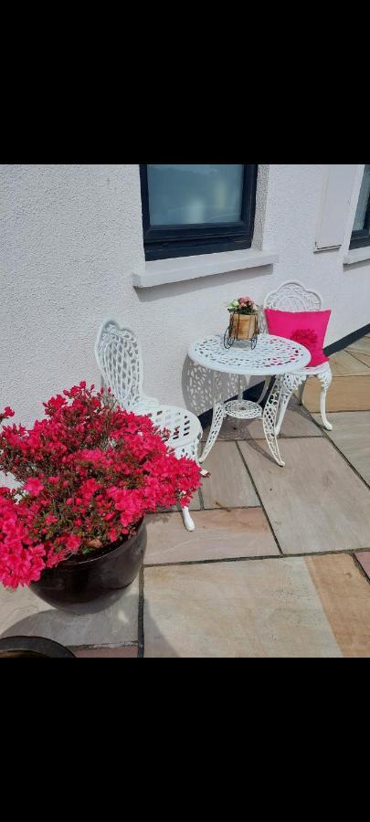 Knockrobin Cottage Wicklow Luaran gambar